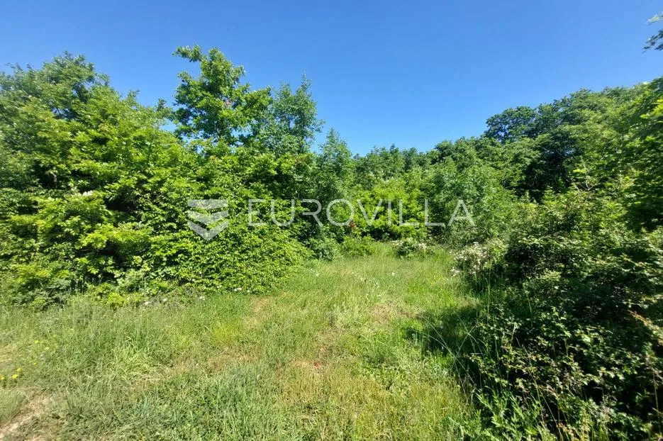istra, loborika, poljoprivredno zemljište s uređenim putem - slika 4