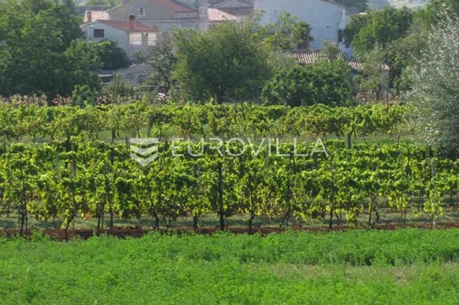 istra, barban, građevinsko zemljište 1329 m² u centru mjesta, prilika - slika 4