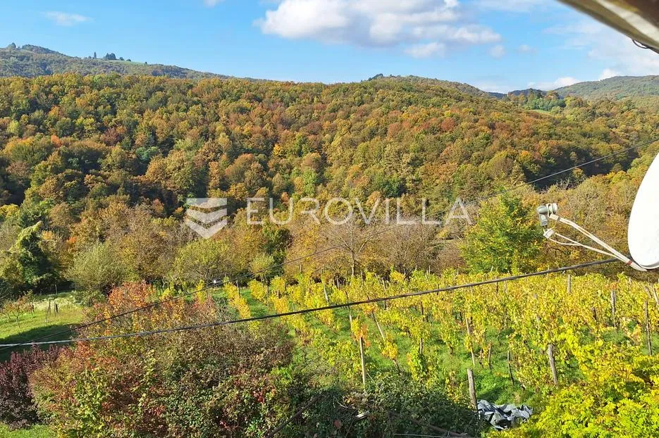 krašić, kuća 230 m2, 7215 m2 zemljišta - slika 18