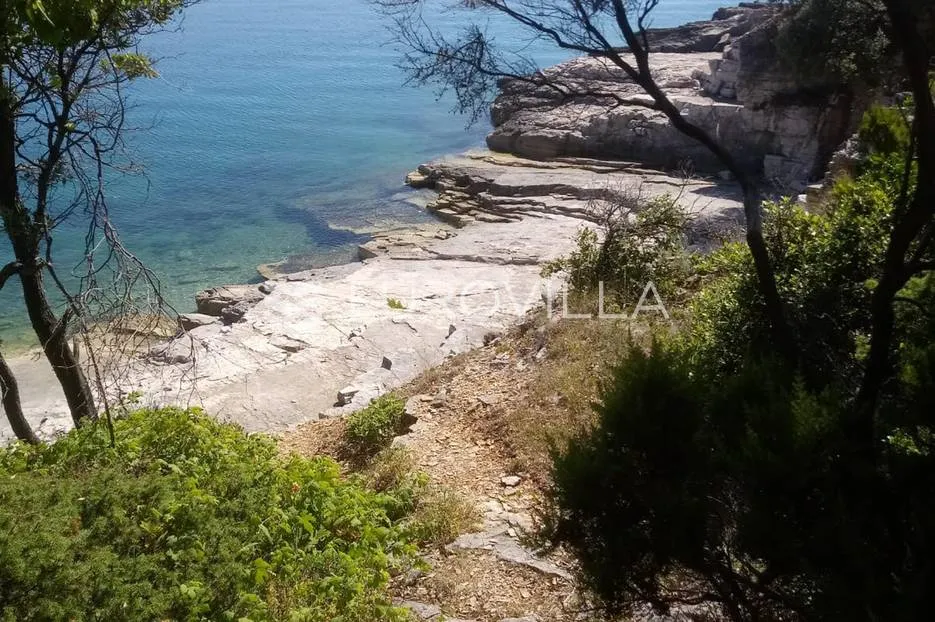 istra, krnica, poljoprivredno gospodarsko zemljište 520 m2 - slika 2