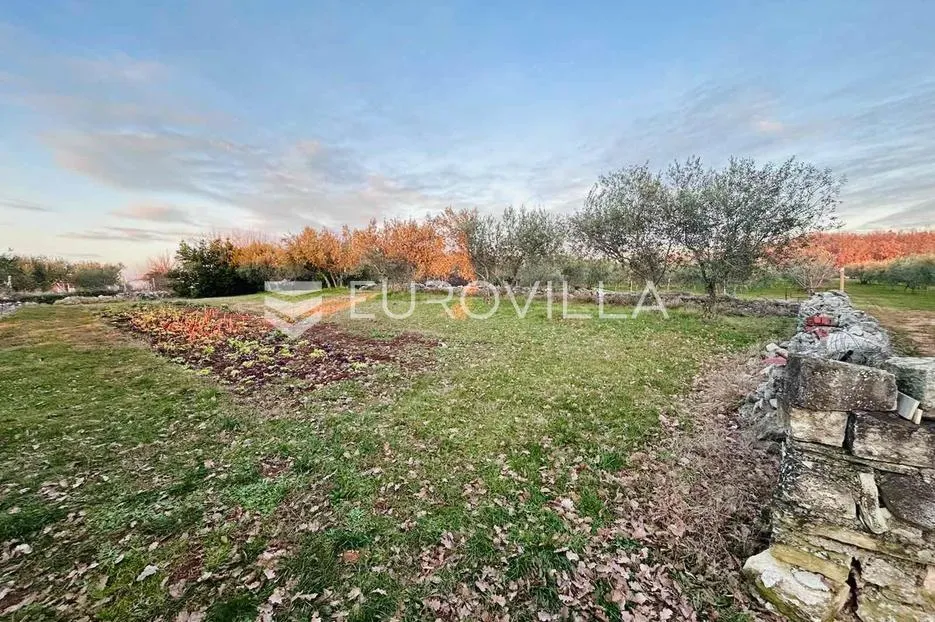 Istra, Buje, građevinsko zemljište