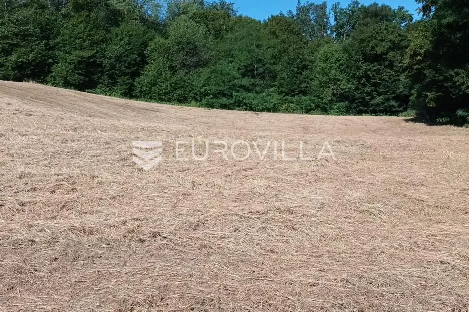 Duga Resa, Pećurkovo Brdo, građevinsko zemljište 4400 m², mirna lokacija - Pećurkovo Brdo, Duga Resa