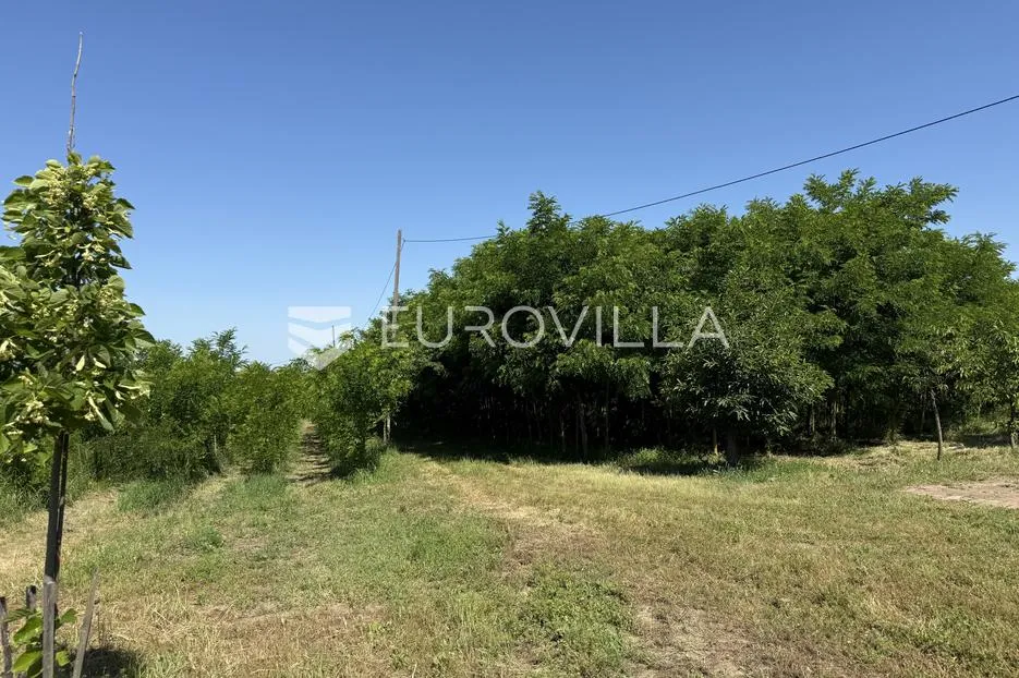 Osijek, Bilje, na prodaju građevinsko zemljište površine 25.000 m²