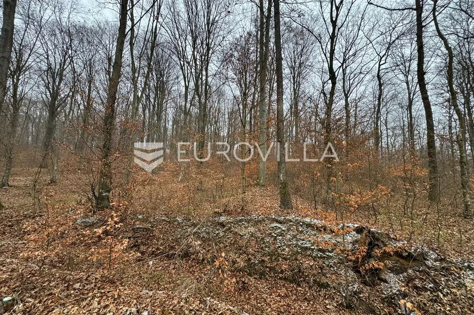 levanjska varoš, šume i zemljišta, ukupno cca 60 ha - slika 2