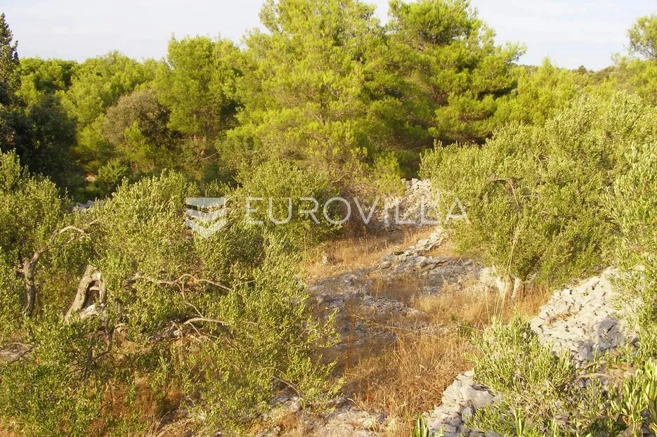 ražanj, poljoprivredno zemljište, 955 m². - slika 3