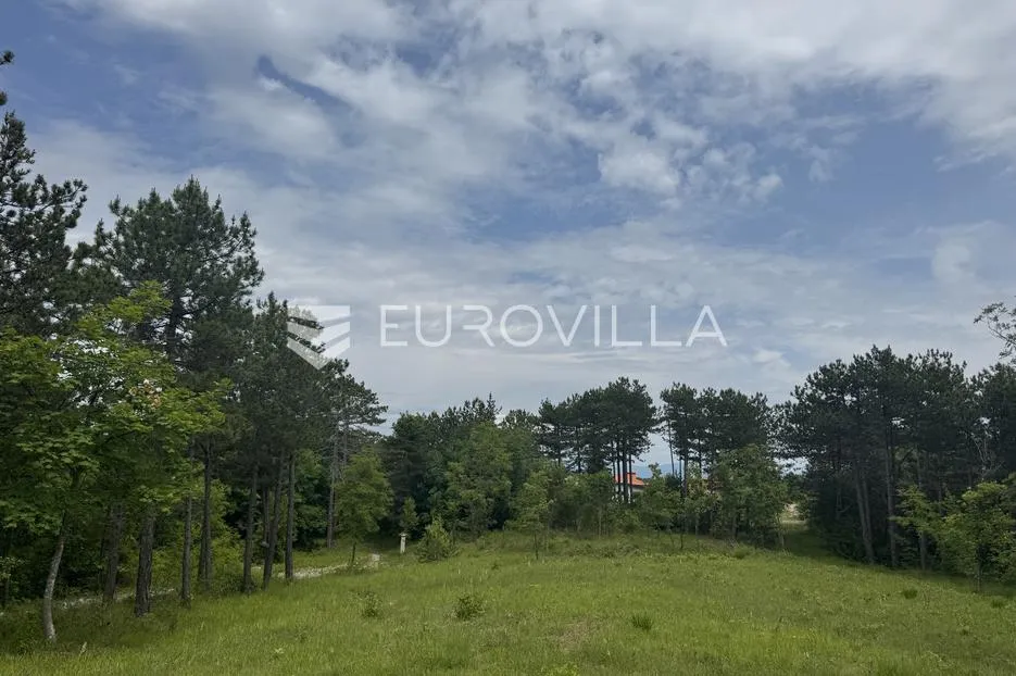 istra, grašćišće, jedinstveno građevinsko zemljište 2000 m² okruženo stoljetnom šumom 36789 m² - slika 17