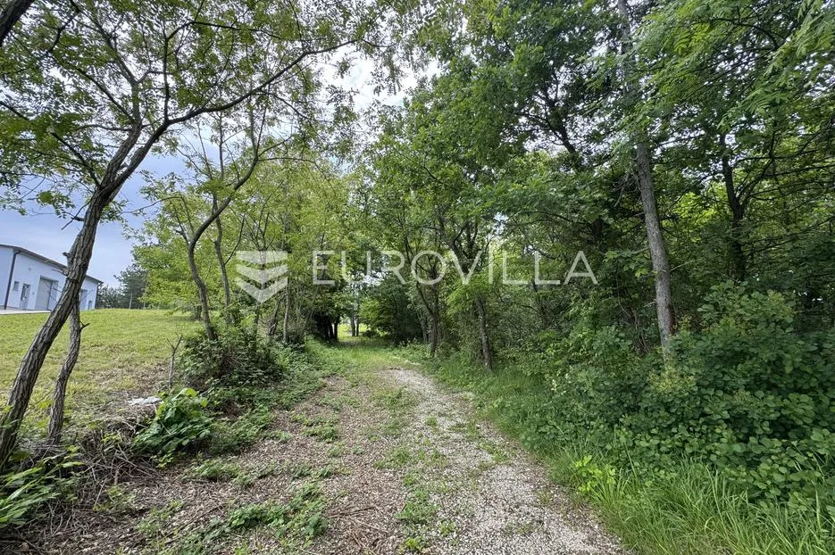 istra, grašćišće, jedinstveno građevinsko zemljište 2000 m² okruženo stoljetnom šumom 36789 m² - slika 14