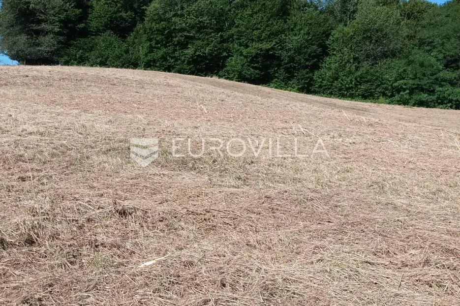 duga resa, pećurkovo brdo, građevinsko zemljište 4400 m², mirna lokacija - slika 2