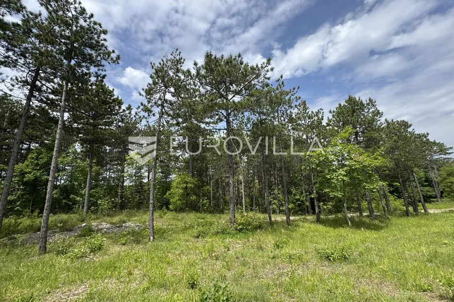 istra, grašćišće, jedinstveno građevinsko zemljište 2000 m² okruženo stoljetnom šumom 36789 m² - slika 21