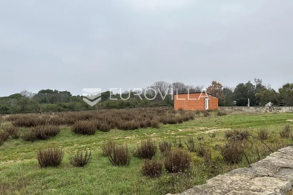 istra, poljoprivredno zemljište 4400 m², prvi red do mora, legalizirani objekt - slika 3