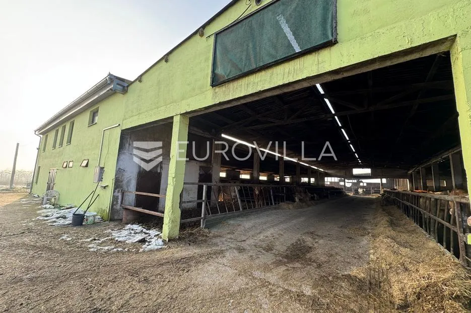 selci đakovački, govedarska farma s mogućnošću prenamijene, 11370 m² - slika 3