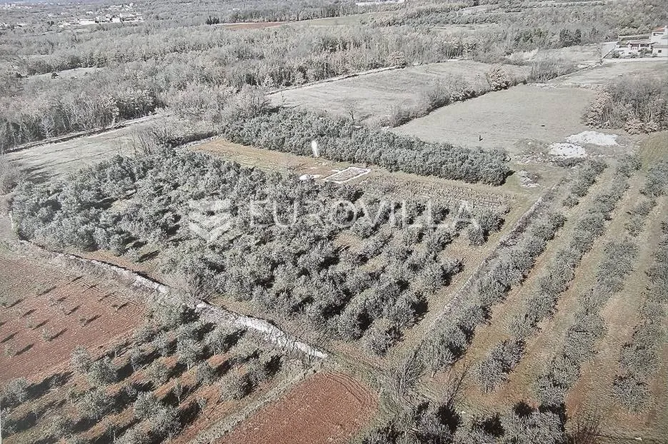 istra, kringa, građevinsko zemljište za autohtonu istarsku stanciju blizu mora - slika 10