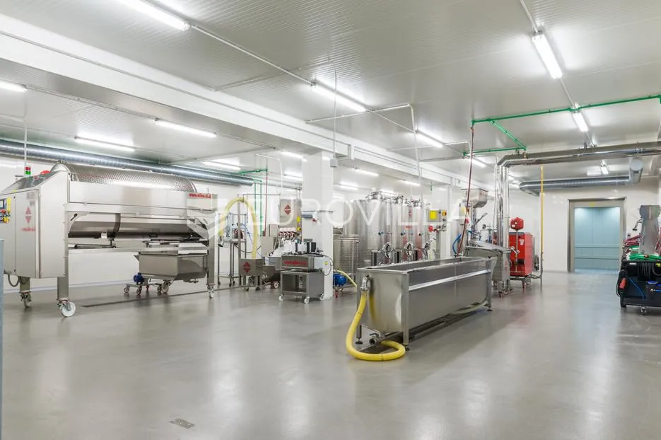 zelina, proizvodna hala od 540m2 s okućnicom od 1000m2 i voćnjakom - slika 8