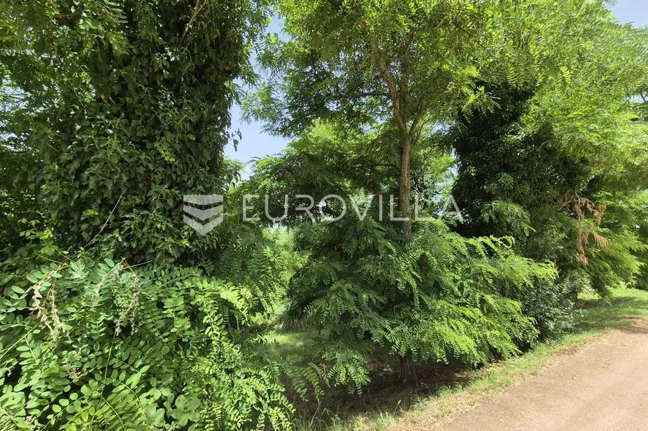 istra, tadini, građevinsko zemljište 1109m2 na rubu sela - slika 6