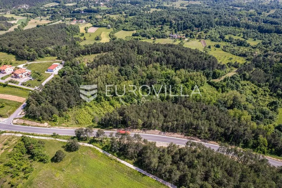 istra, grašćišće, jedinstveno građevinsko zemljište 2000 m² okruženo stoljetnom šumom 36789 m² - slika 26