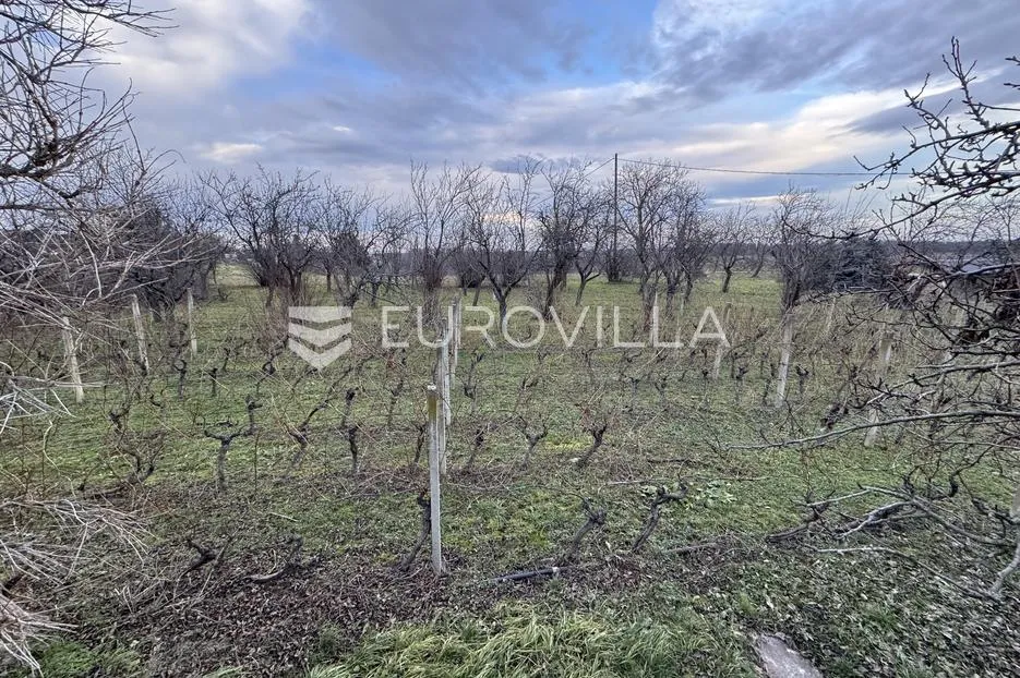 mandićevac, prekrasna vikendica 115 m² sa vinogradom i voćnjakom - slika 38