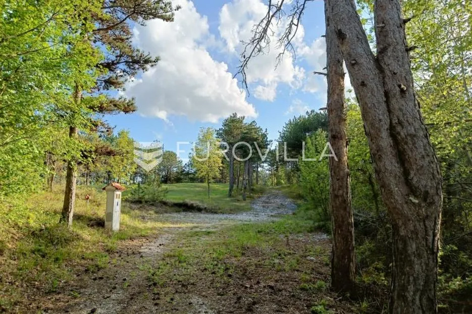 istra, grašćišće, jedinstveno građevinsko zemljište 2000 m² okruženo stoljetnom šumom 36789 m² - slika 5