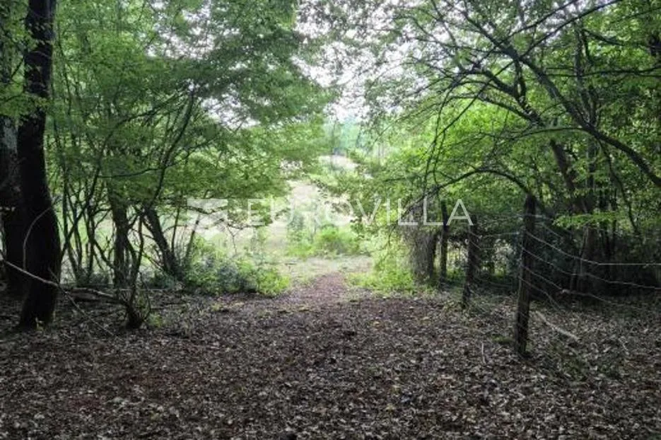 Kaštelir, Cerjani, poljoprivredno zemljište 24.118 m² s vlastitom šumom - Cerjani, Kaštelir - Labinci
