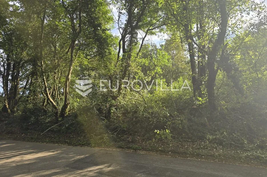 Istra, Krnica, poljoprivredno zemljište 3854 m²