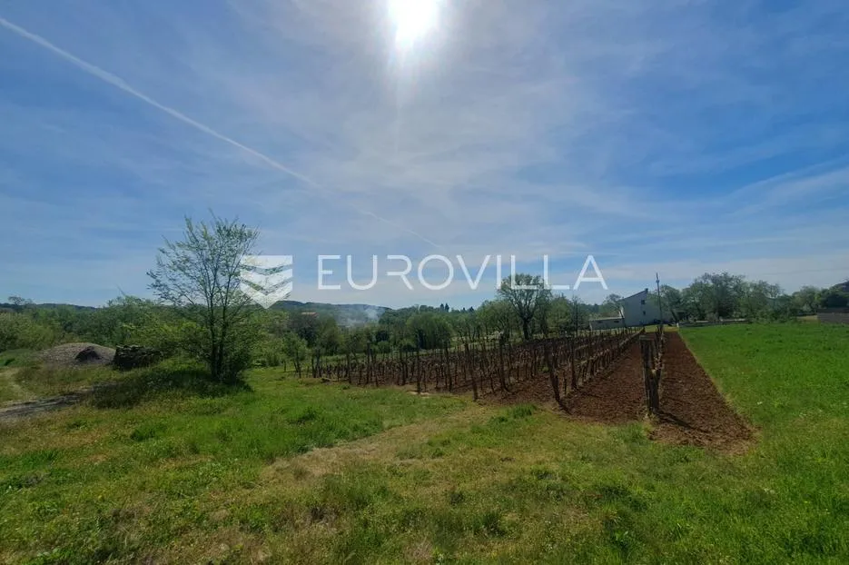istra, novaki motovunski, građevinsko zemljište - slika 5