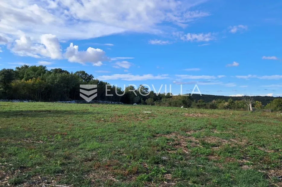 istra, rovinj okolica, poljoprivredno zemljšte 10038m2 na 200m metara od mora - slika 7