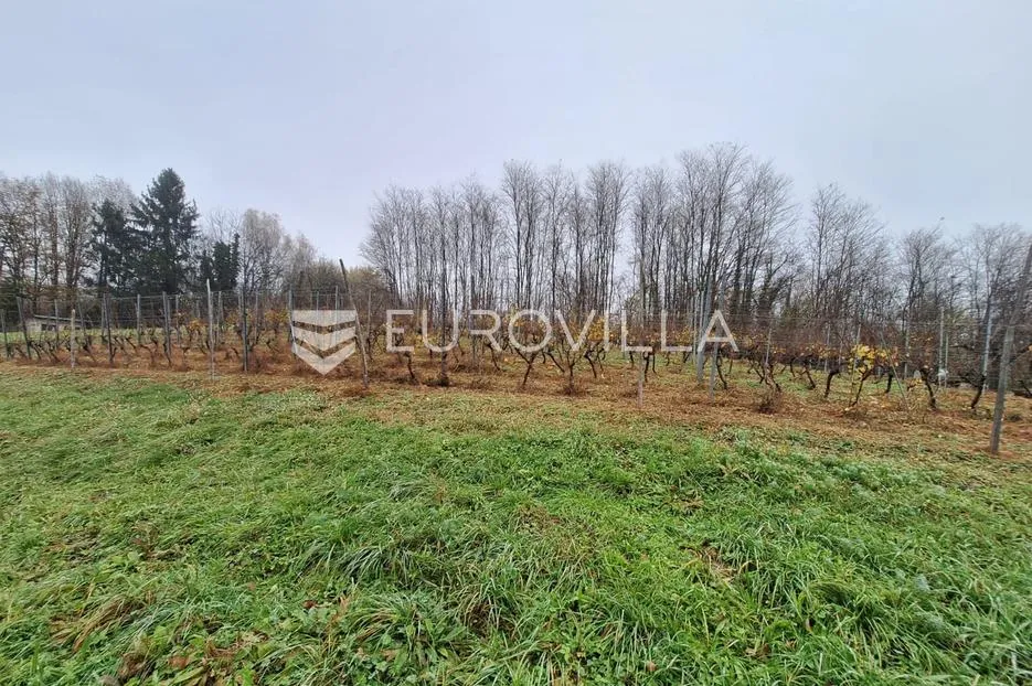 duga resa, galović selo, poljoprivredno zemljište 1400 m2 s vinogradom - slika 3
