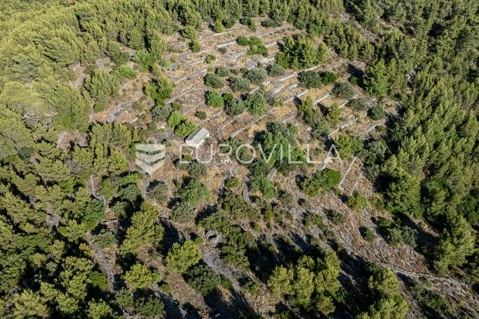 otok korčula, blato, uvala grčćica, poljoprivredno zemljište sa kamenom kućom - slika 8