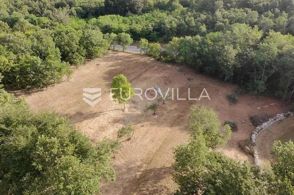 istra, tinjan, građevinsko zemljište nkp 3623 m2 - slika 12