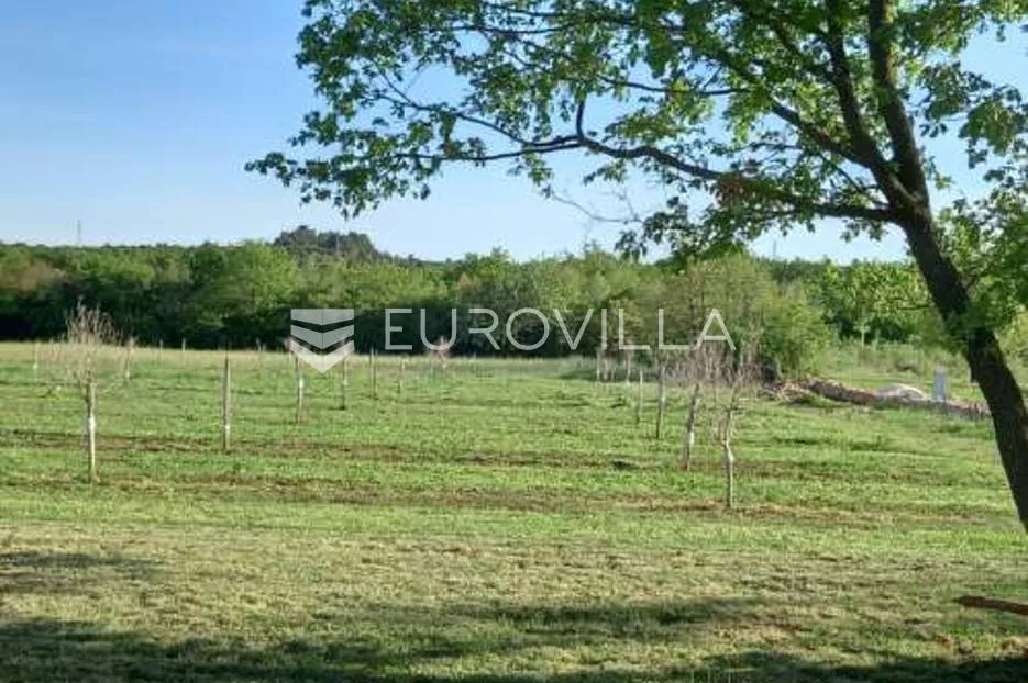istra, rovinj, poljoprivredno zemljište 11818m2 s upisanim objektom od 30m2 - slika 5