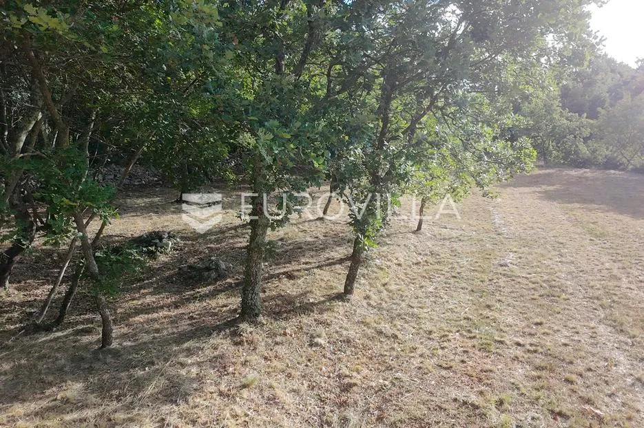 istra, tinjan, građevinsko zemljište nkp 3623 m2 - slika 23