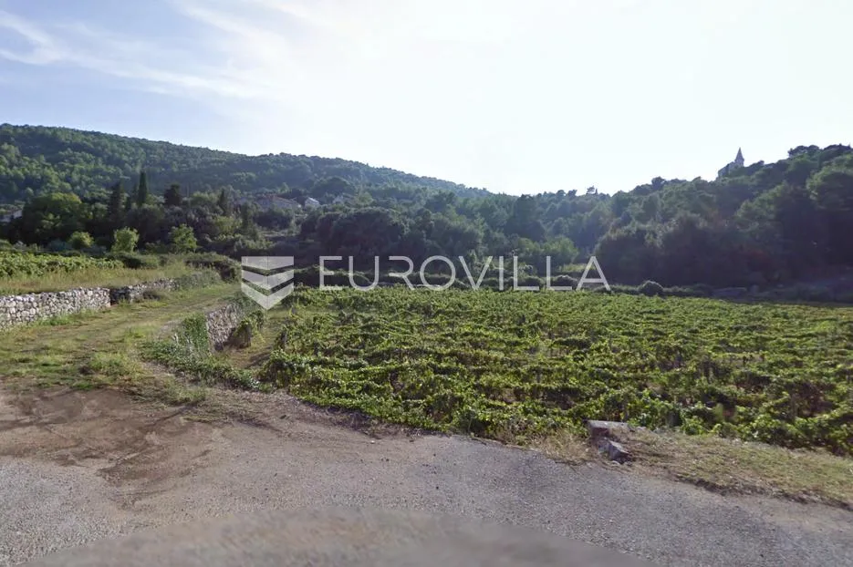 hvar, dol, poljoprivredno zemljište, 3.505 m² - slika 2