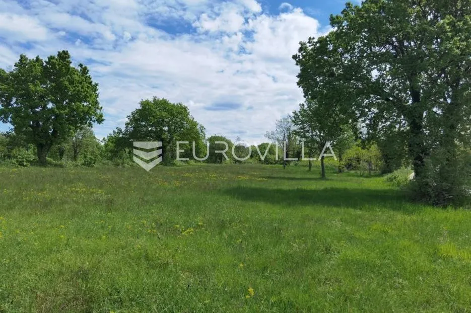 višnjan, građevinsko zemljište za investiciju, 12000 m2 - slika 1