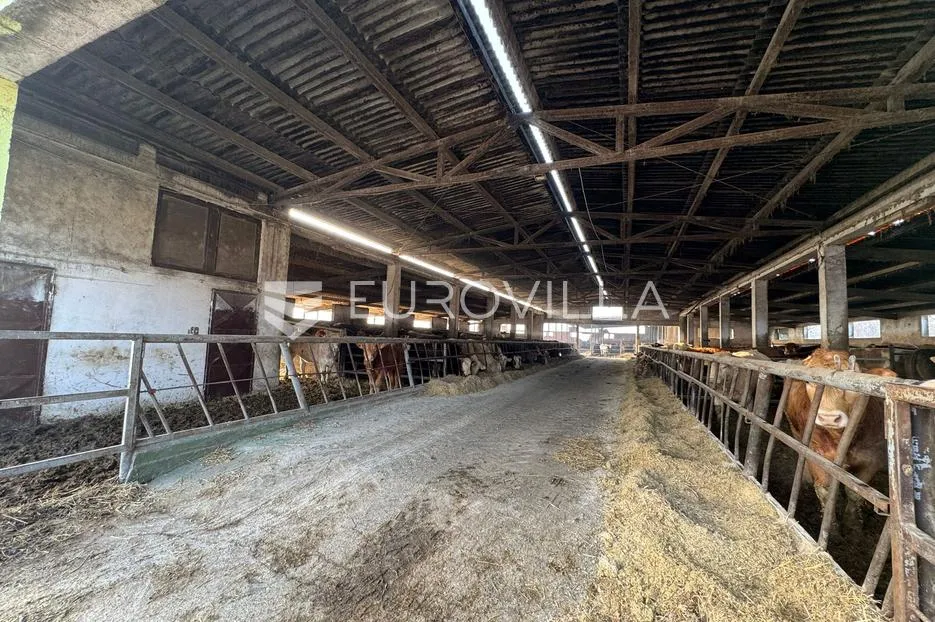 selci đakovački, govedarska farma s mogućnošću prenamijene, 11370 m² - slika 2