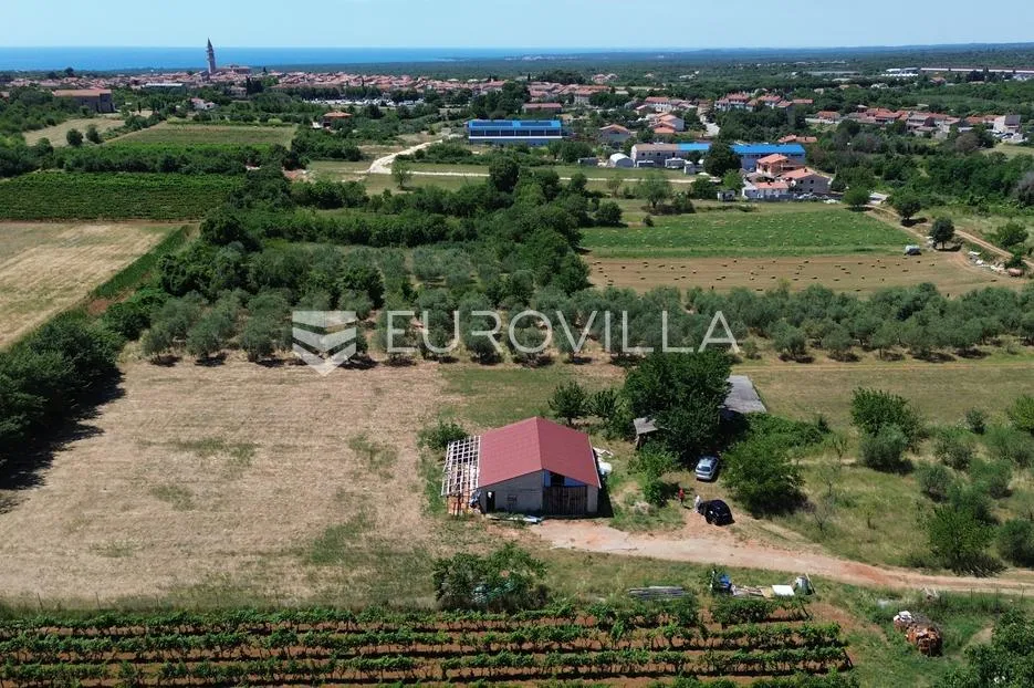 istra, vodnjan, gospodarska zgrada s pomoćnim objektom na prostranom zemljištu - slika 3