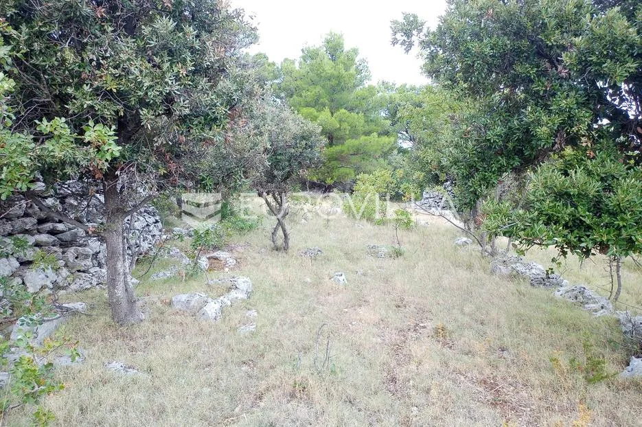 brač, donji humac, zemljište površine 10984 m² - slika 12