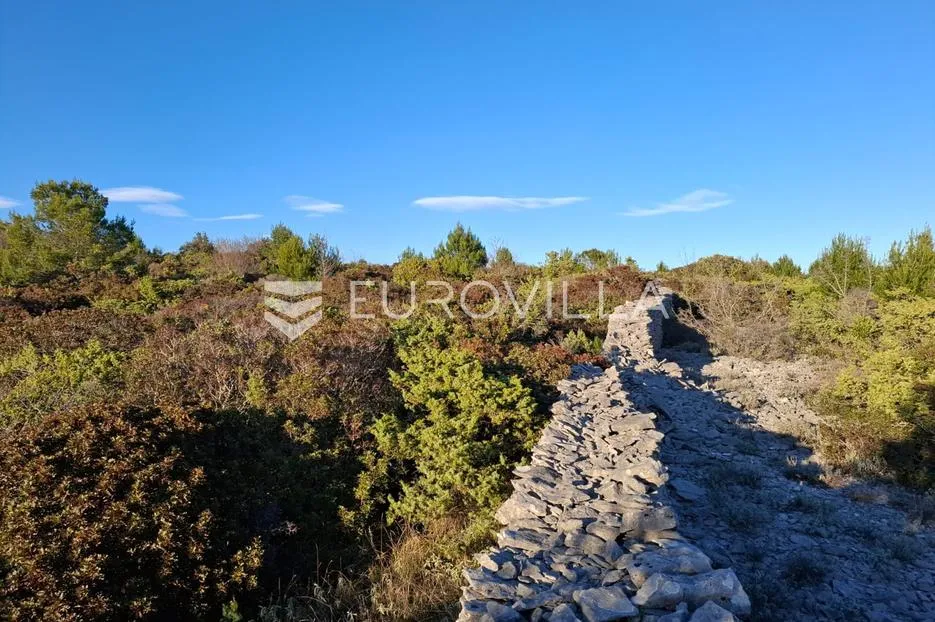 istra, rakalj, poljoprivredno zemljište s pogledom more 5000 m2 - slika 6