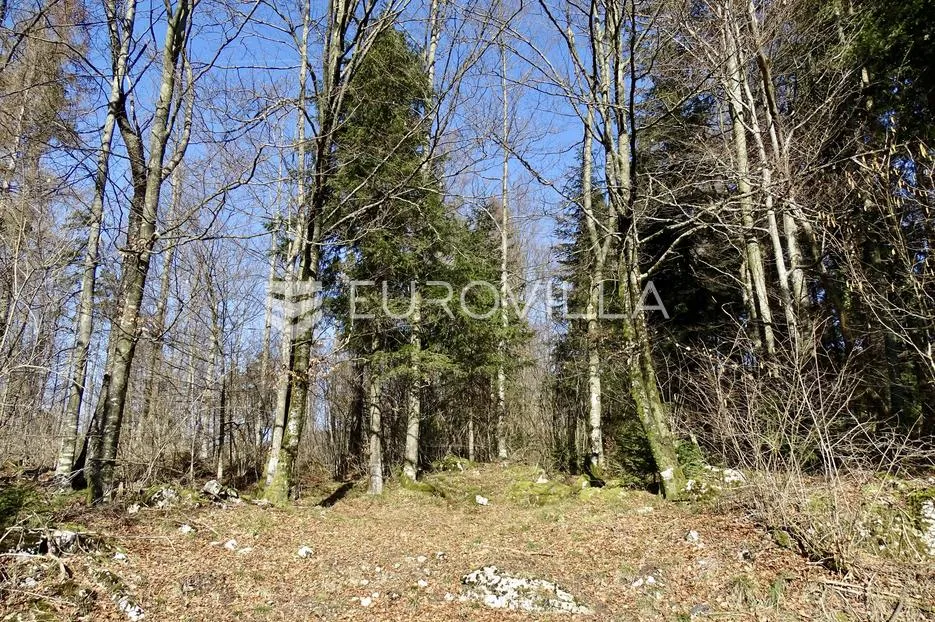 delnice, lučice, atraktivan građevni teren površine 6.919 m² - slika 2