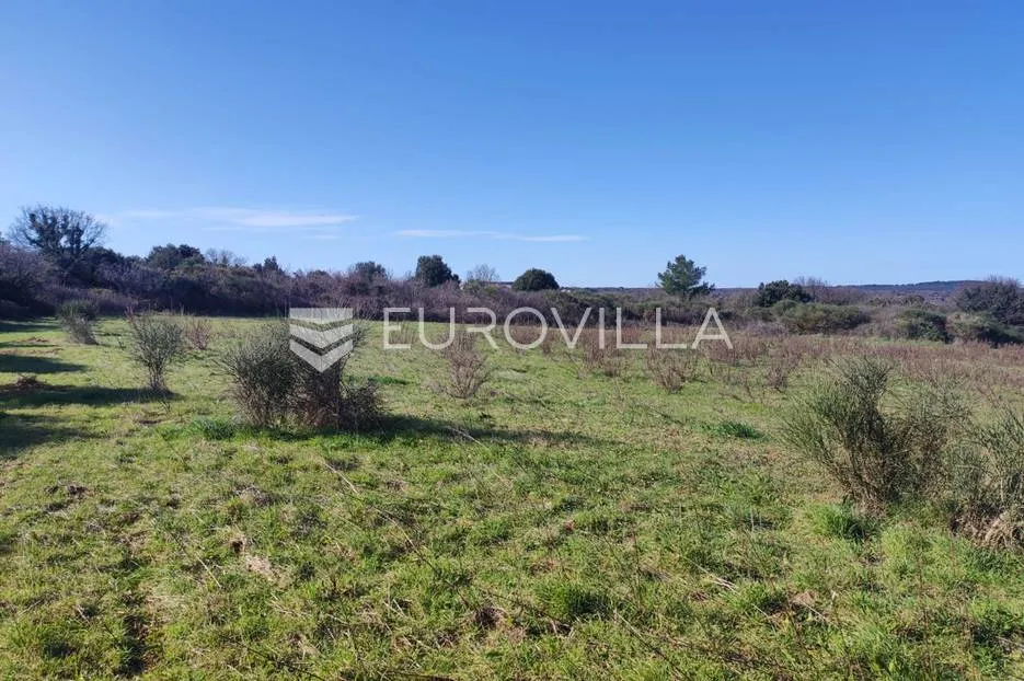 ližnjan, veliko poljoprivredno zemljište 7340 m2 s pogledom more - slika 6