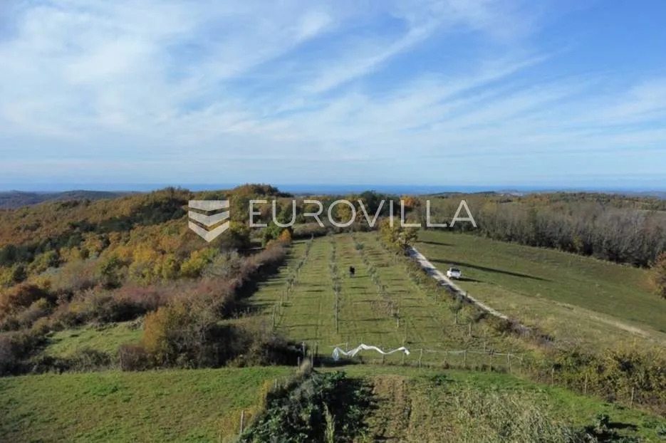 istra, momjan - zemljište 4137m2 od kojih je 1871m2 građevinsko - slika 6