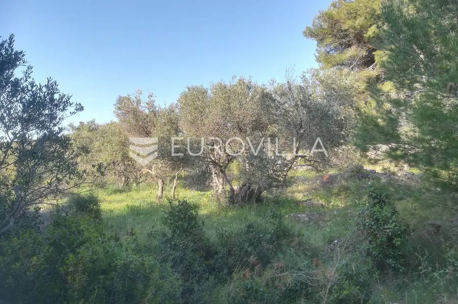 otok murter, prodaja zemljišta, 1295 m2, prvi red do mora - slika 3
