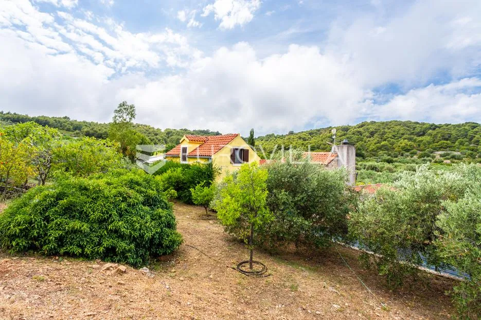 vis, prekrasno imanje na osami okruženo maslinikom i vinogradima - slika 19