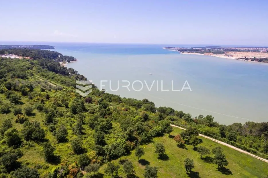 istra, tar - građevinsko zemljište 1. red do mora sa panoramskim pogledom - slika 6