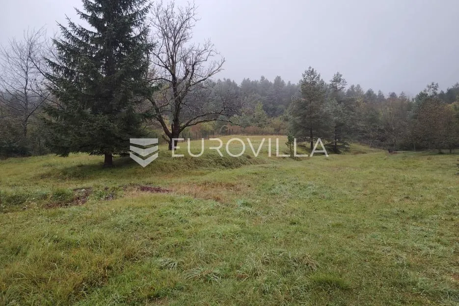 plaški, građevinsko zemljište, 9800 m² - slika 9
