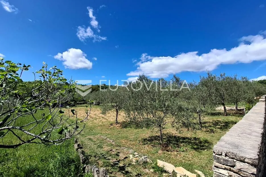 novigrad, pridraga, uređeno građevinsko zemljište s pogledom na more površine 1181m2 - slika 5