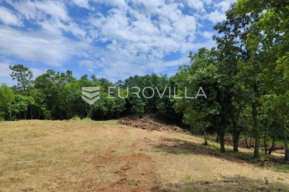 barban, rojnići, prekrasno pravokutno građevinsko zemljište 910 m² - slika 7