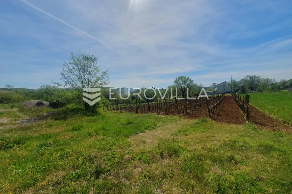 istra, novaki motovunski, građevinsko zemljište - slika 8