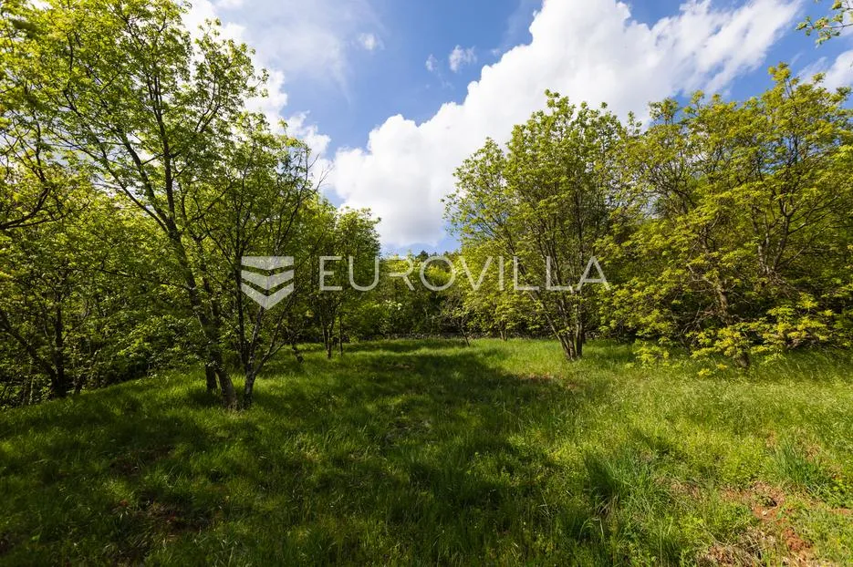 cernik, čavle, adaptirana kuća od 288 m² s 3448 m² terena - slika 7