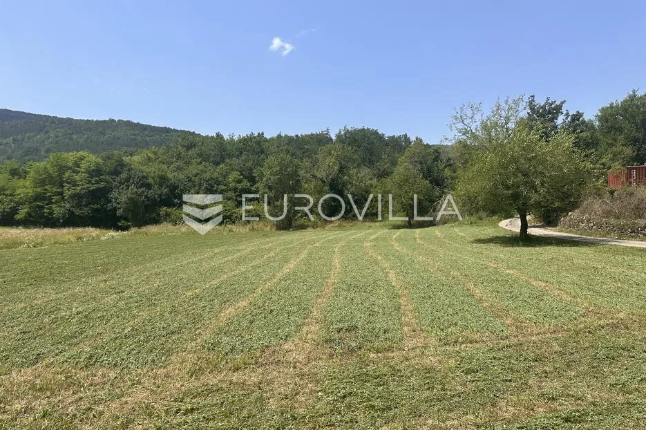 Istra, Žunti, veliko građevinsko zemljište s pogledom na Kaštel - Zrenj