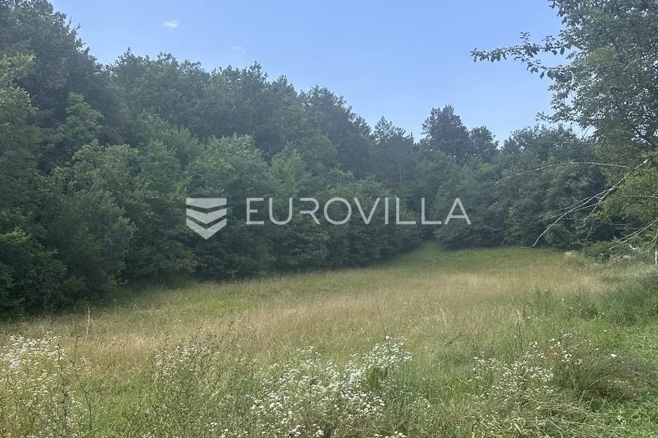 istra, žunti, veliko građevinsko zemljište s pogledom na kaštel - slika 3