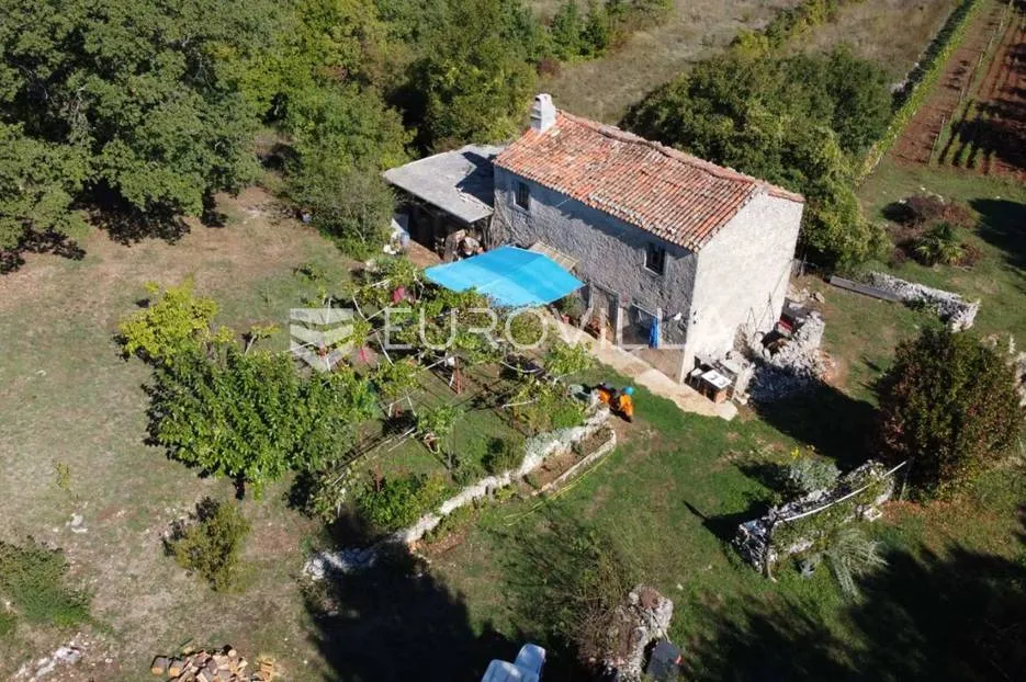 Labin okolica, Stara kamena kuća s 27.000 m² poljoprivrednog zemljišta, vinograd i voćnjaci - Kranjci, Labin